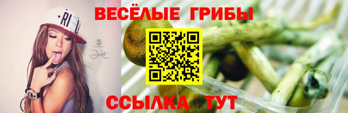Галлюциногенные грибы прущие грибы  сколько стоит  Галлюциногенные грибы Magic Shrooms  Биробиджан  Вход с VPN 